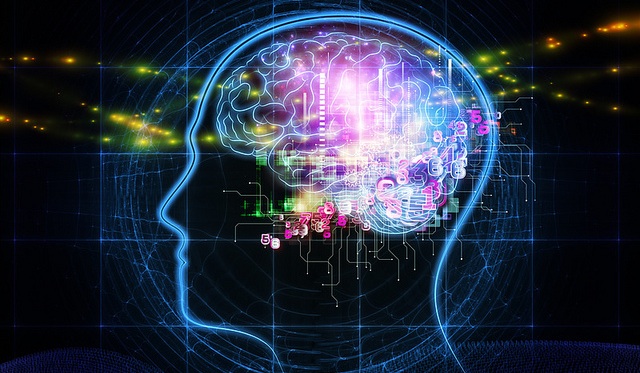 Mind Mapping correspond aux processus de notre cerveaux