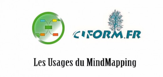 Usages professionnel du Mind Mapping